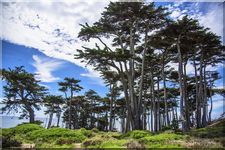 Lands End, Golden Gate National Recreation Area