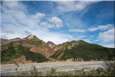 Summer at Denali National Park