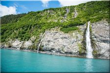 Rocky coastline and seabirds