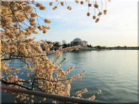 Tidal Basin, Washington DC