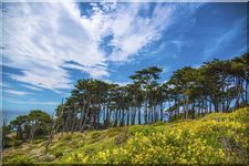 Golden Gate Park