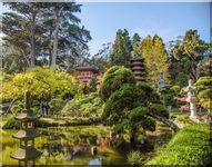 Japanese Tea Garden